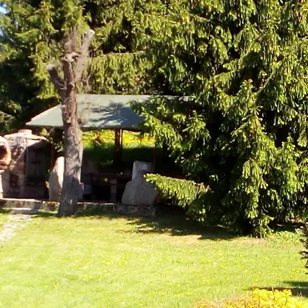 Andrzejowka Czerniki